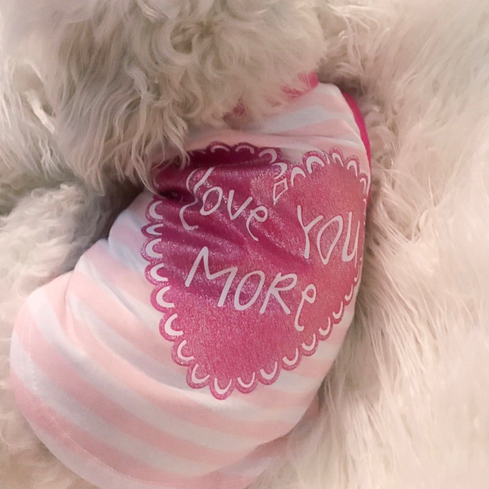 Pet Spirit I love you more dog tank small